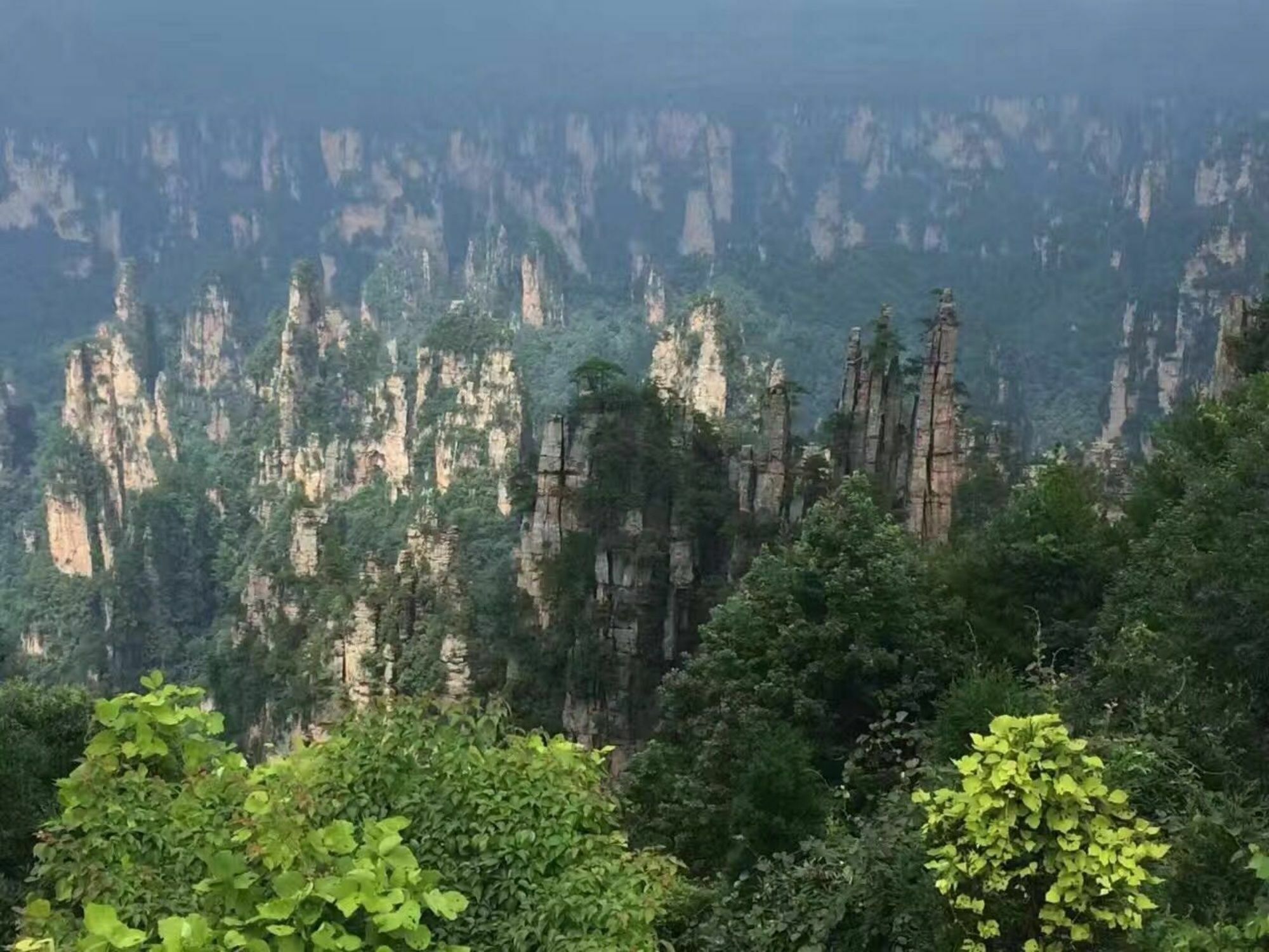 Zhangjiajie Yueranju Hostel Exterior foto